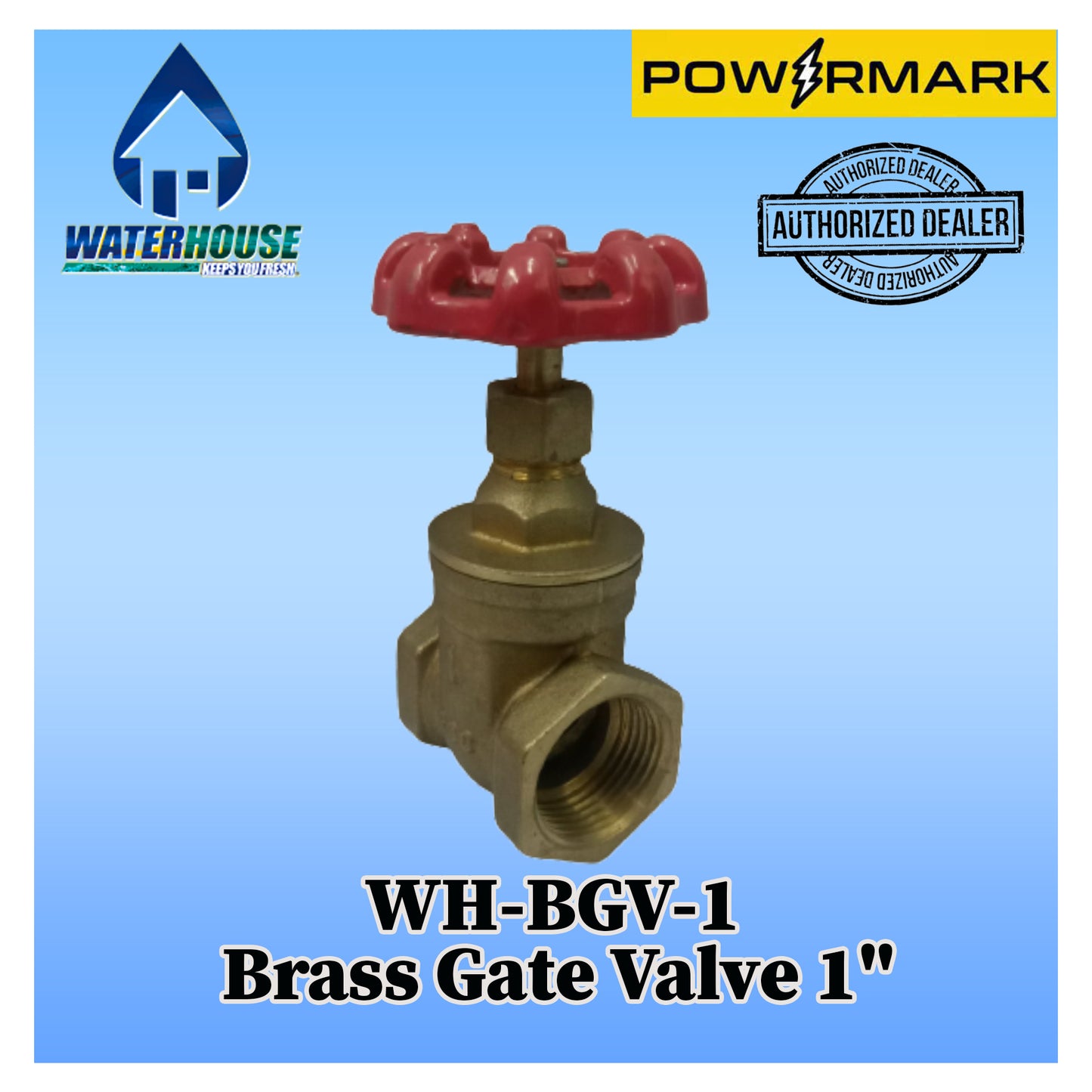 WATERHOUSE WH-BGV-1 Brass Gate Valve 1