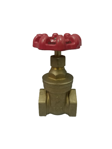 WATERHOUSE WH-BGV-1 Brass Gate Valve 1