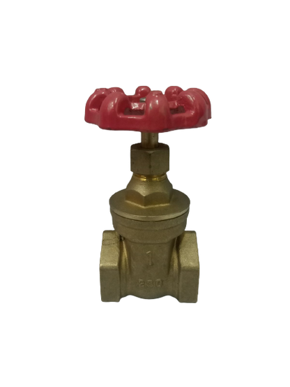 WATERHOUSE WH-BGV-1 Brass Gate Valve 1