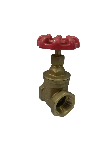 WATERHOUSE WH-BGV-1 Brass Gate Valve 1