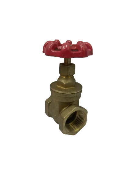 WATERHOUSE WH-BGV-1 Brass Gate Valve 1